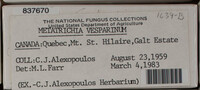 Image Associated With the Occurence
